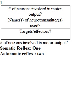 Lab 6 Reflexes Worksheet